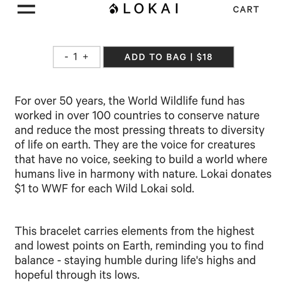 Earth Lokai Bracelet - Picture 3 of 3